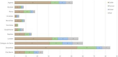 One Health Approach Reveals the Absence of Methicillin-Resistant Staphylococcus aureus in Autochthonous Cattle and Their Environments